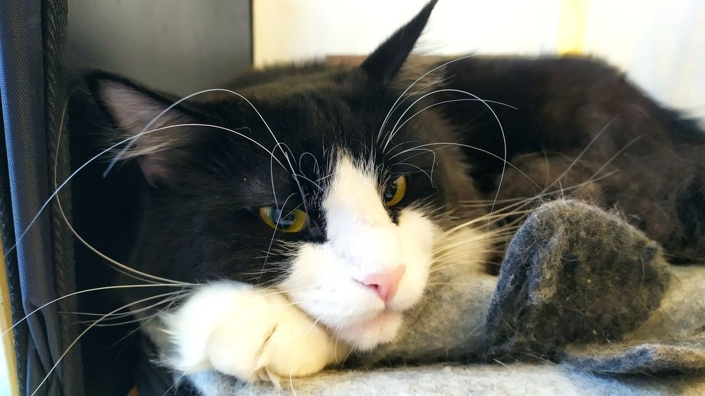 Photograph by Елена Смирнова