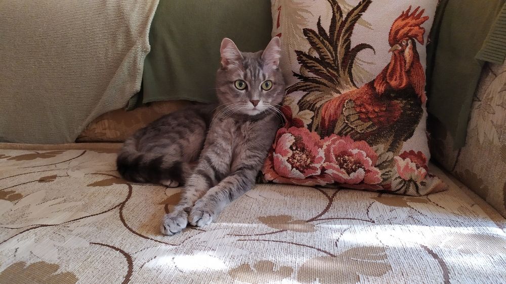 Photograph by Елена Смирнова