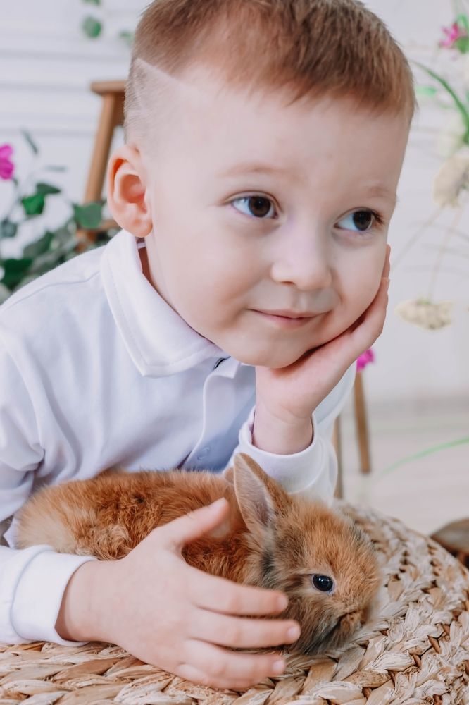 Photograph by Волошенко Елена