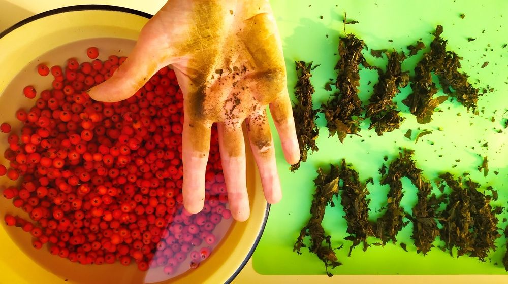 Photograph by Елена Смирнова