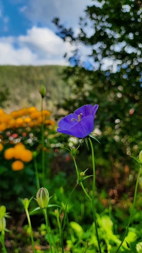Photograph by Айгиза Мухамедьянова
