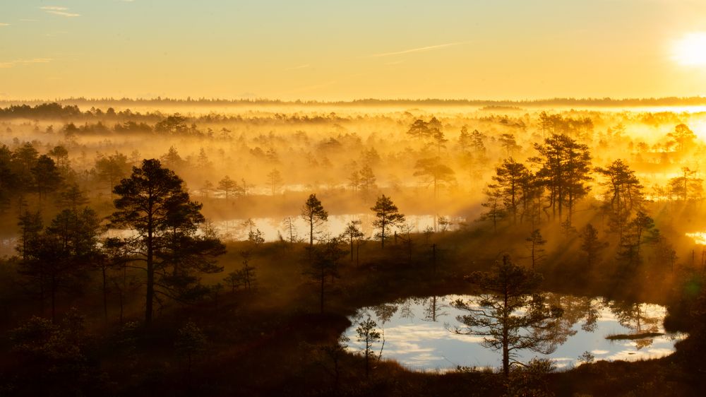 Photograph by Наталья Бурьянова