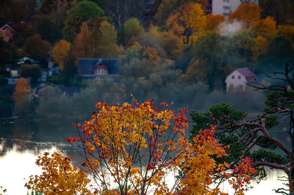 Photograph by Oksana Kuzmina