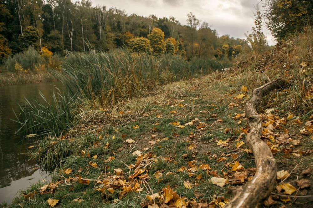 Photograph by Боков Павел