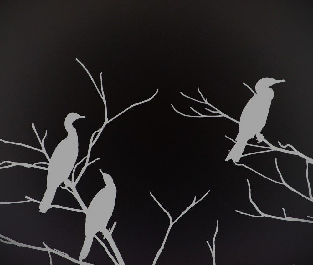 Photograph by Gr Marie