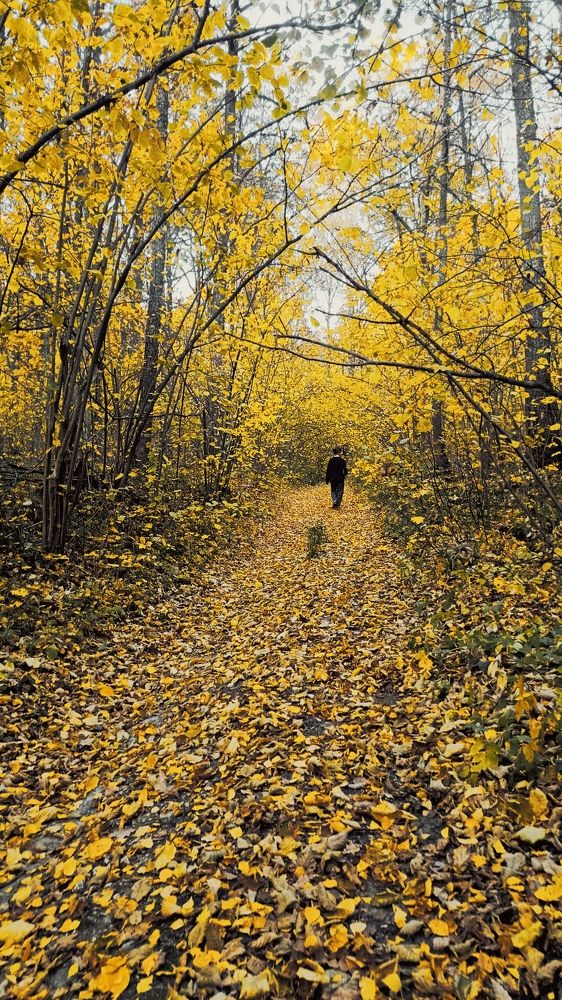 Photograph by Татьяна Пятернёва