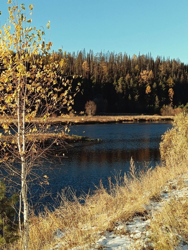 Photograph by Александра Ламанова