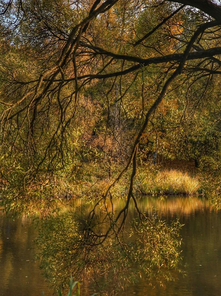 Photograph by Angelica Medvedeva