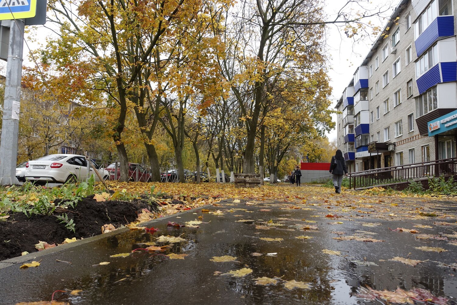 Photo #11167249