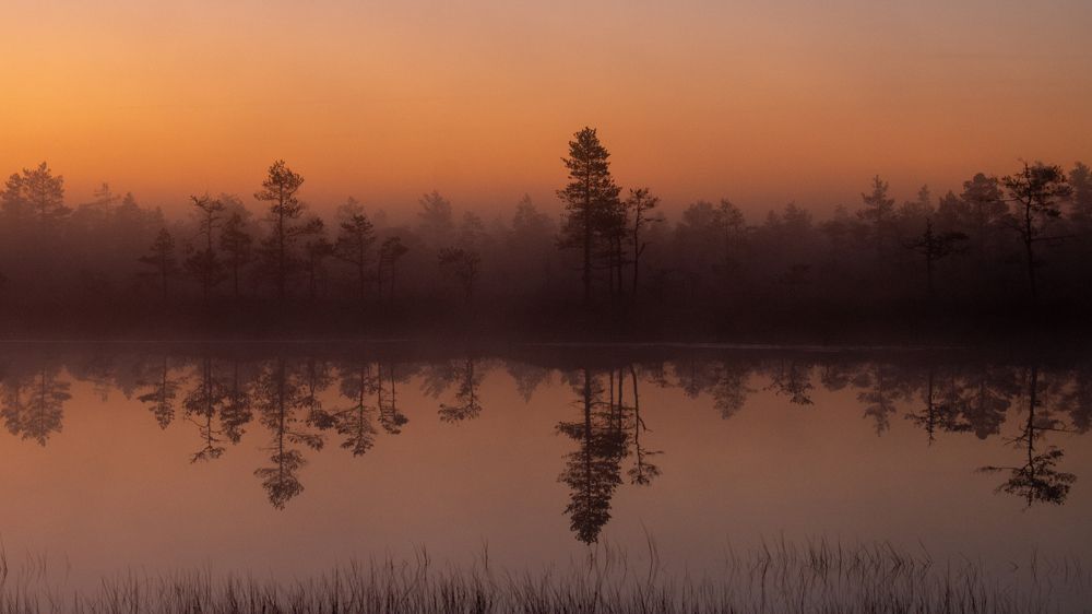 Photograph by Наталья Бурьянова