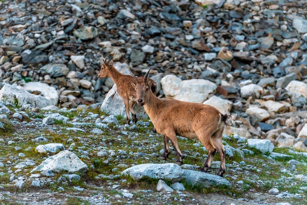 Photograph by Евгений Романов