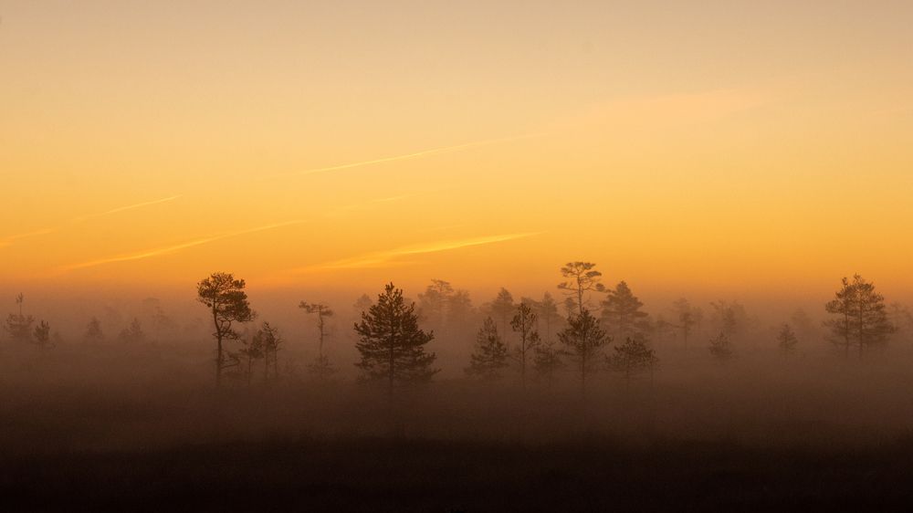 Photograph by Наталья Бурьянова