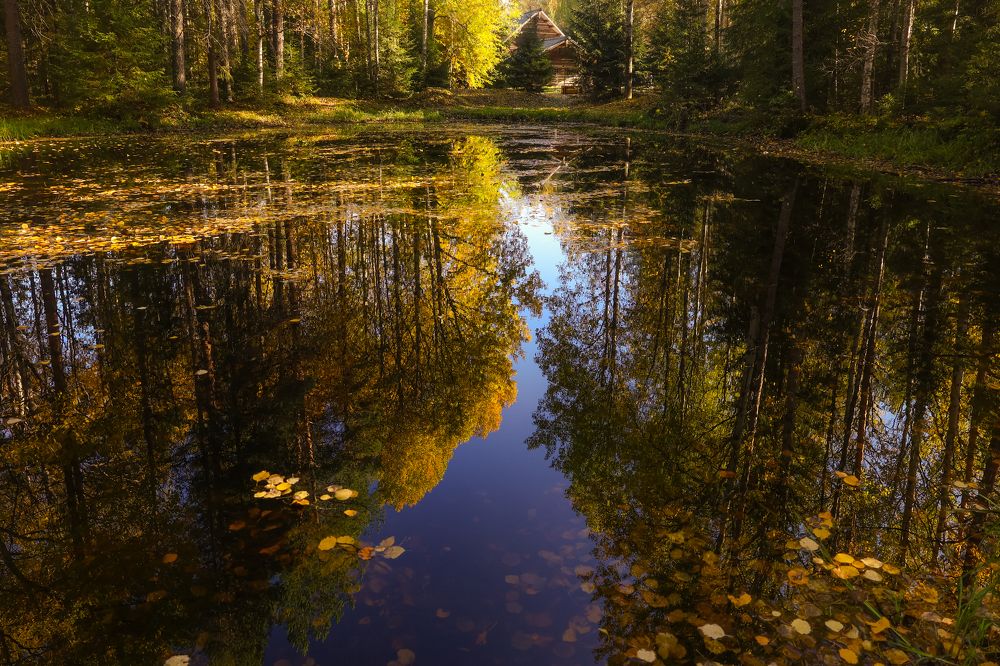 Photograph by Юлия Крюкова