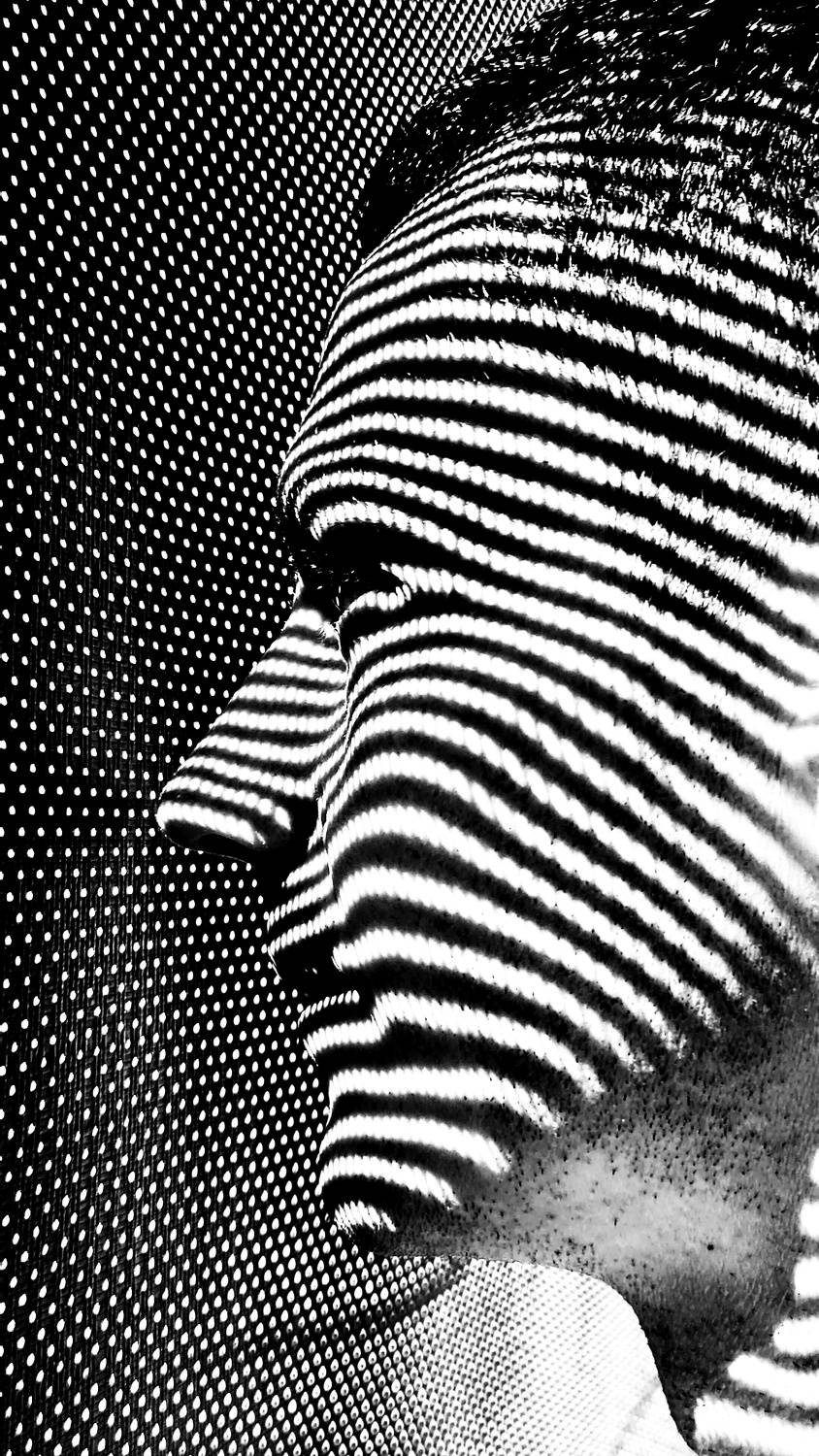 Photo #11167285