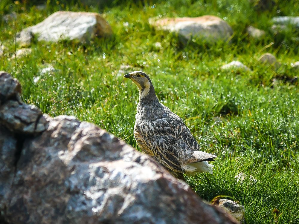 Photograph by Евгений Романов