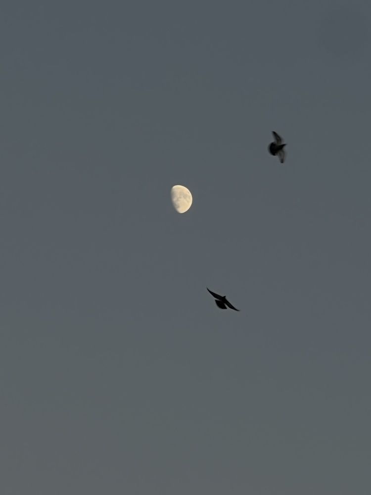 Photograph by omar kanani