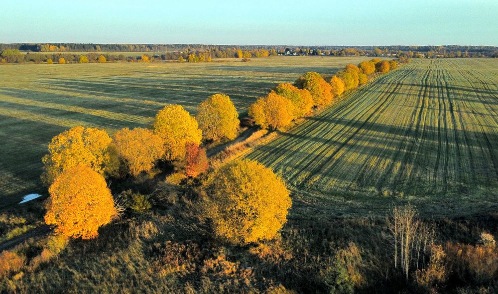 Фотография автора Александр Нагибин