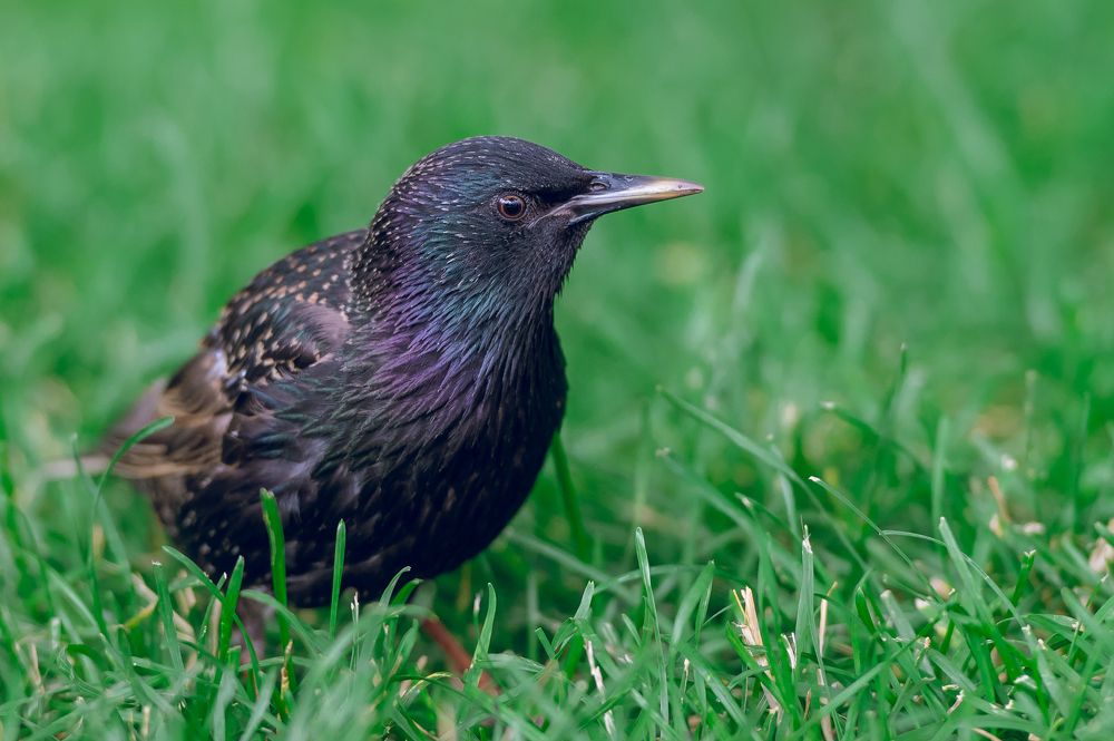 Фотография автора Клейменов Алексей