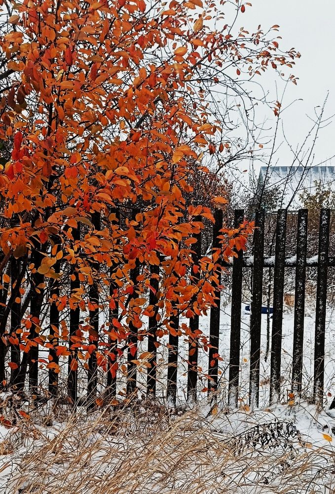 Фотография автора Светлана Анатольевна Чернышова