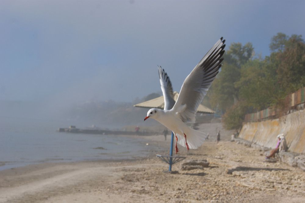 Photograph by Екатерина