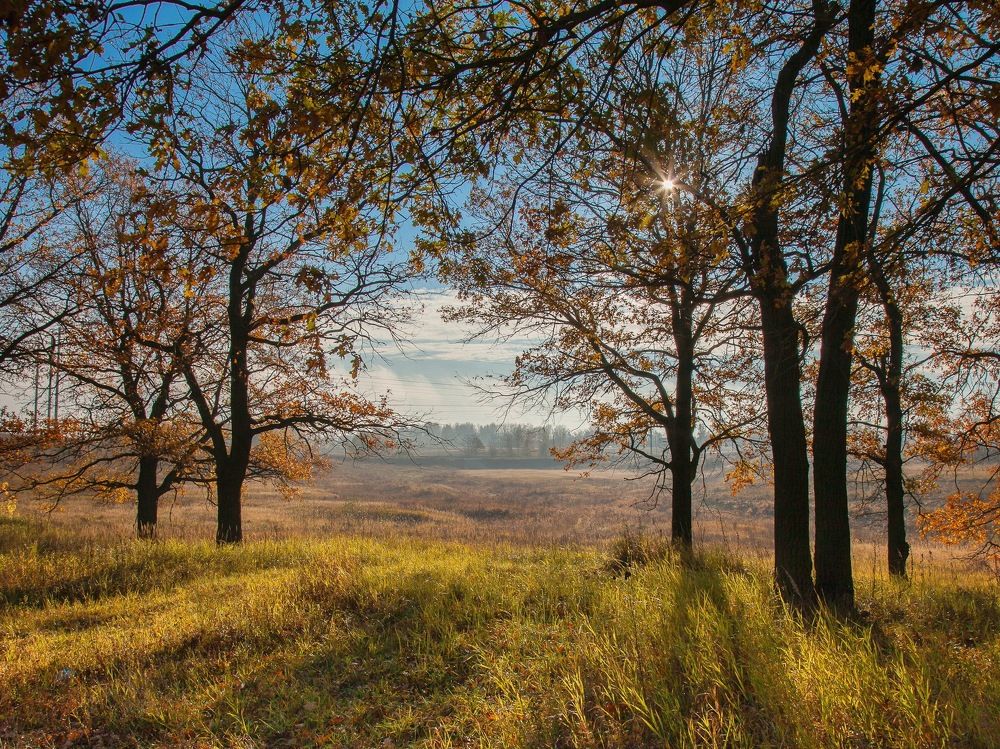 Photograph by Дмитрий Захарьящев