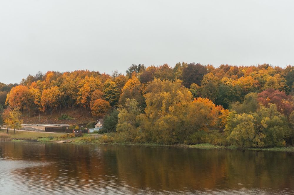 Photograph by Егор Ставер