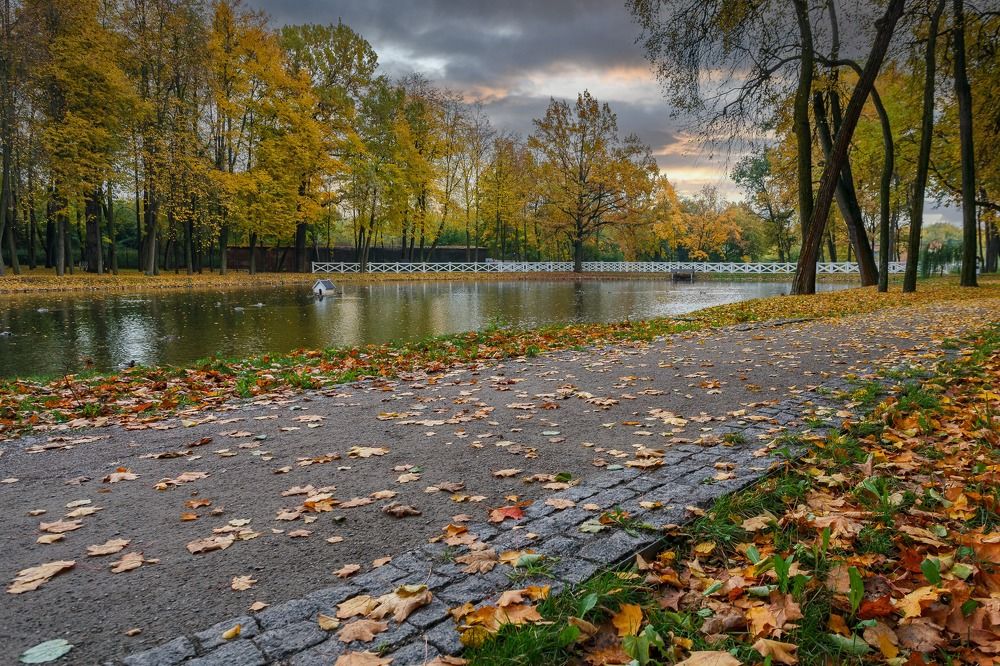 Photograph by Дмитрий Захарьящев