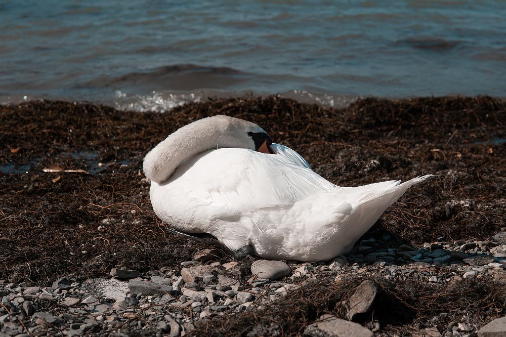 Photograph by Егор Ставер