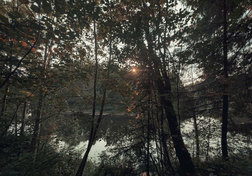 Photograph by Vladislav Trushkov