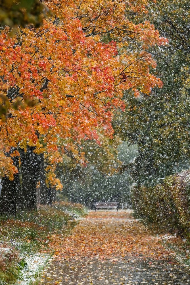 Photograph by Sergey Uskov