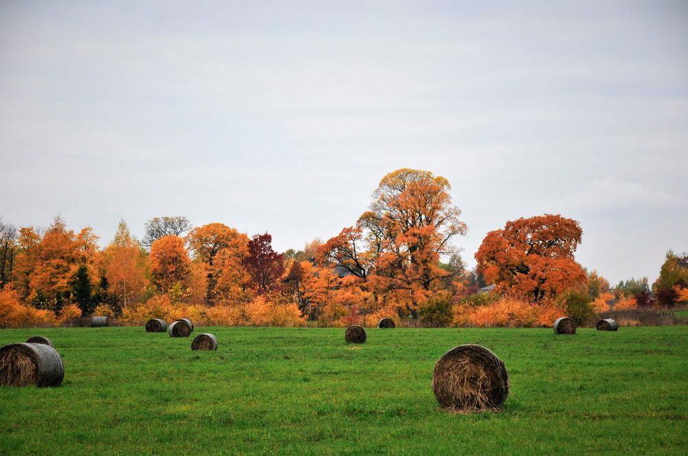 Photograph by Виолетта Бастет