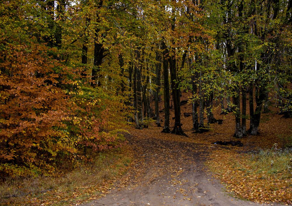 Photograph by Будаква Сергей