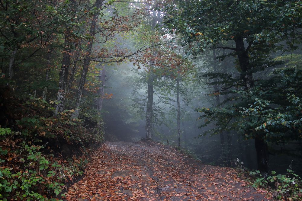 Photograph by Алексей Оборин