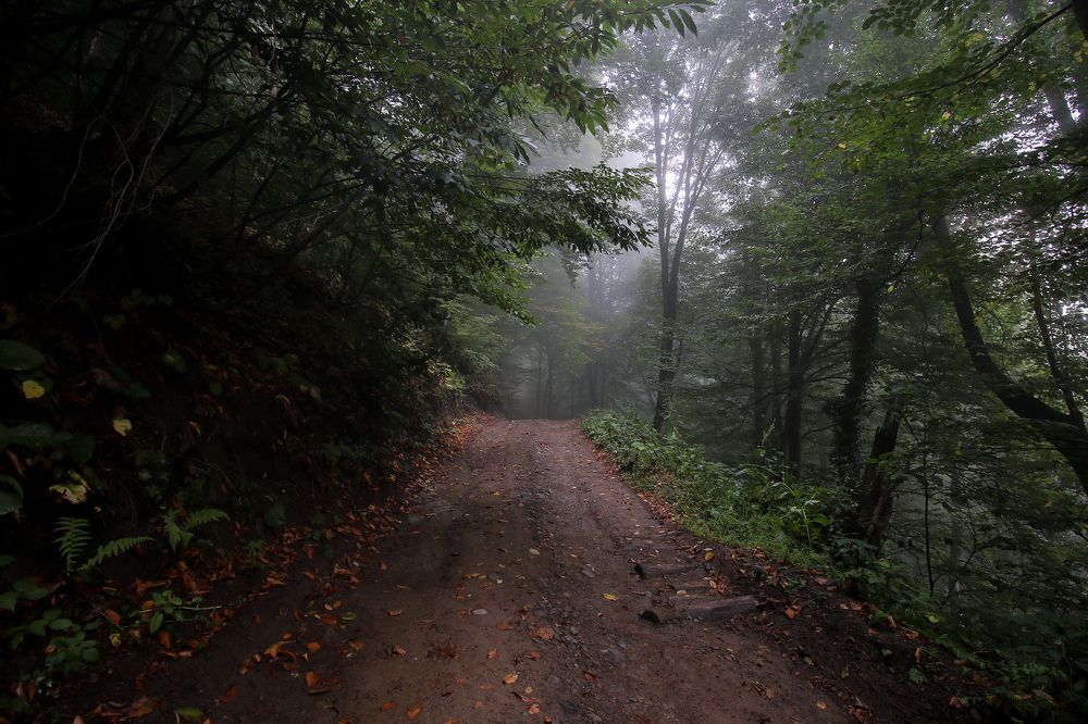 Photograph by Алексей Оборин