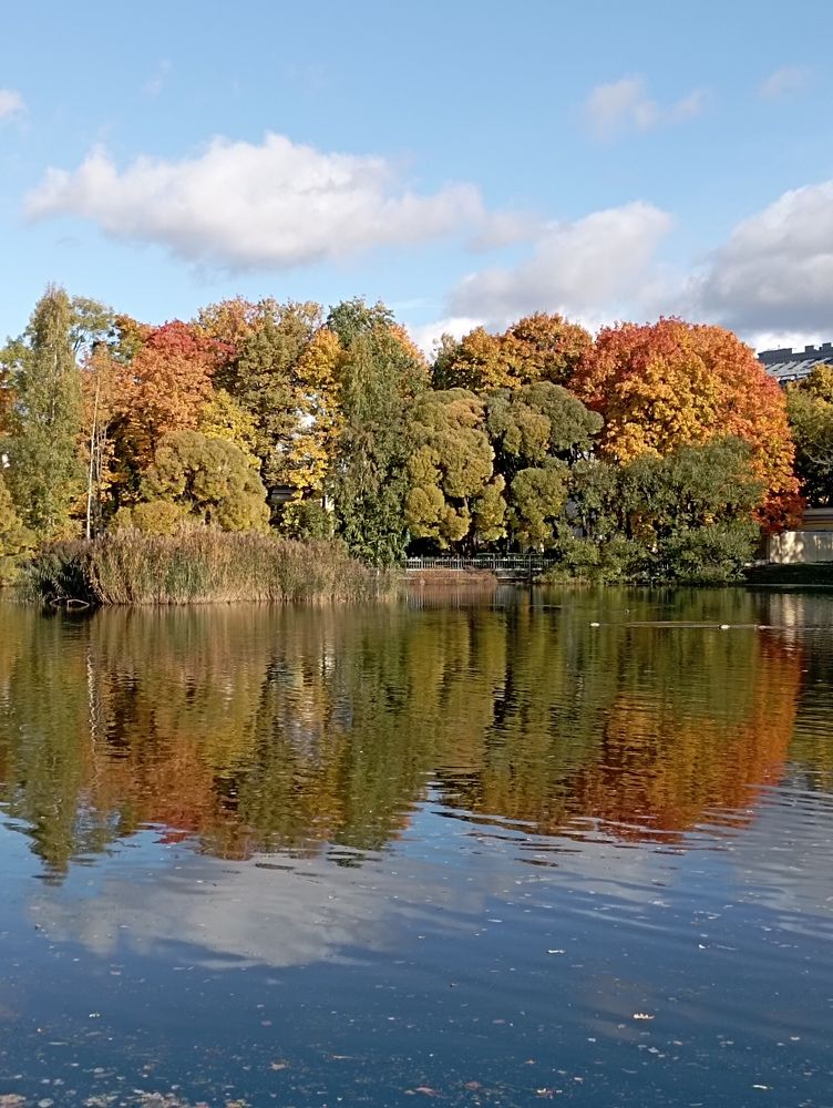 Фотография автора Natalia Khodina