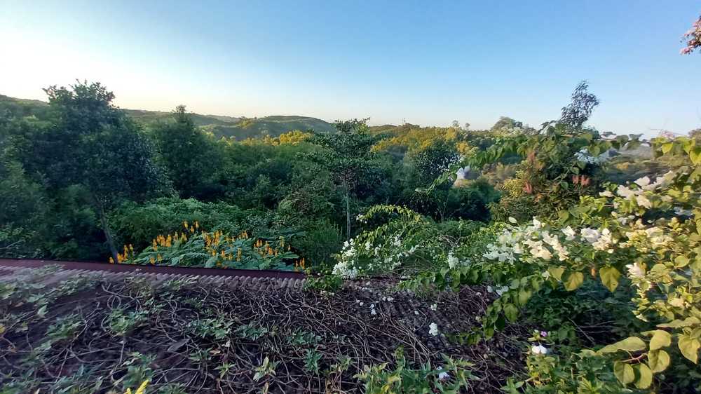 Photograph by Neel Bonna