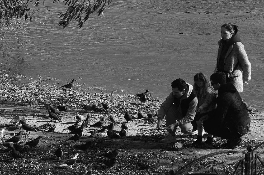 Фотография автора Геннадий Титов