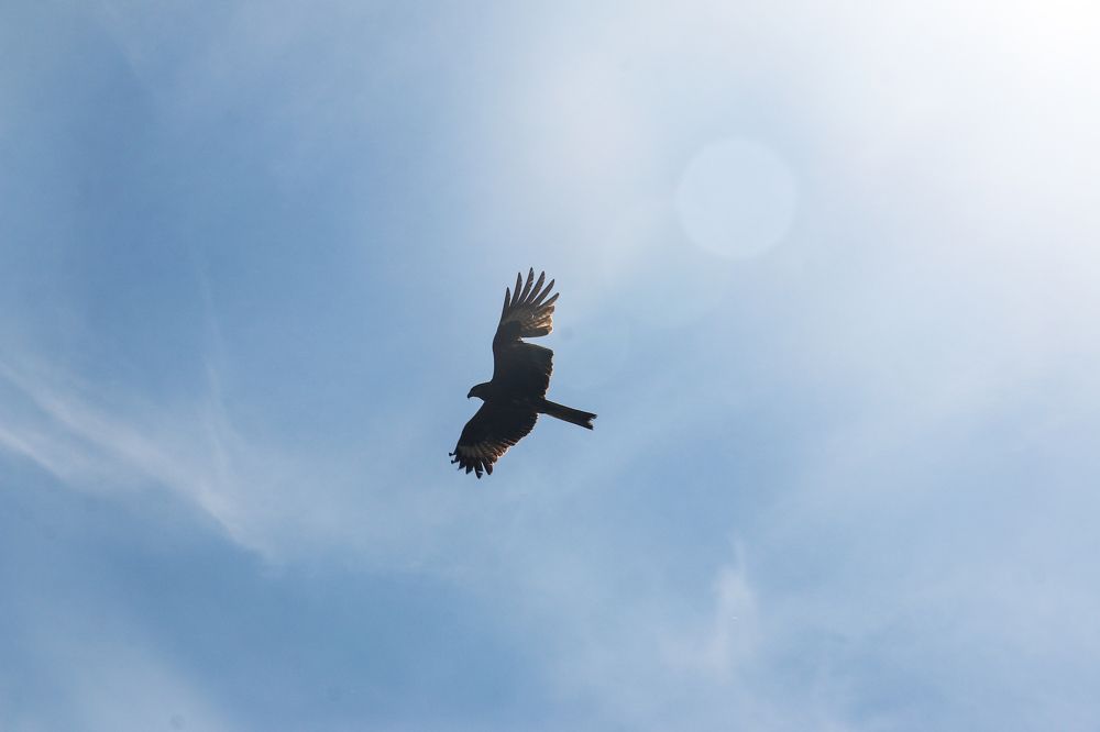 Photograph by Алексей Оборин