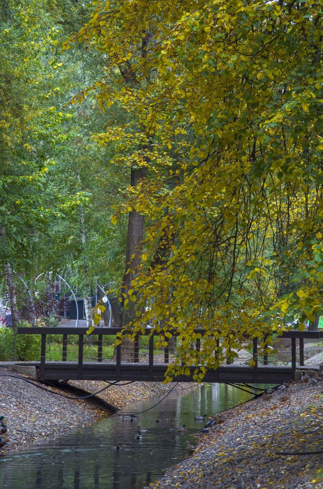 Photograph by Александр Яковлев