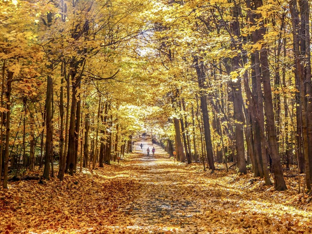 Photograph by Annie Trudel