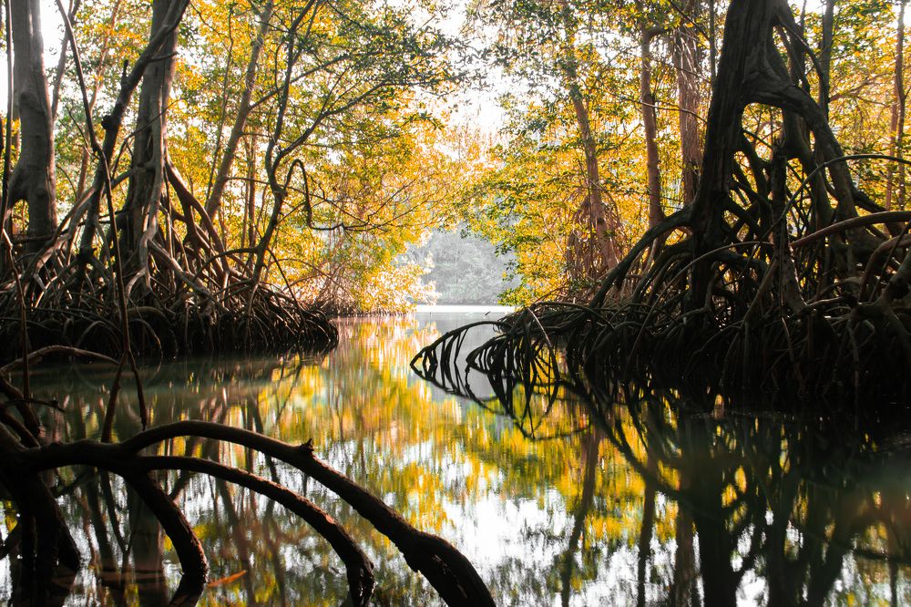 Autumn reflection