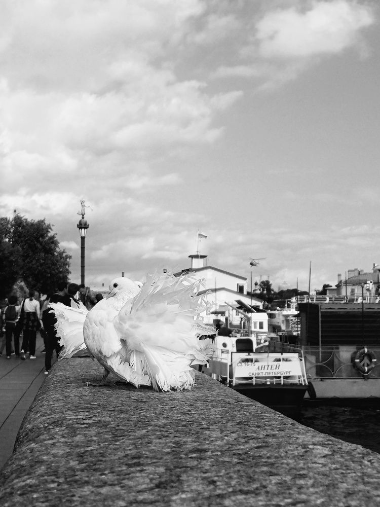 Photograph by Anastasiya Danilova