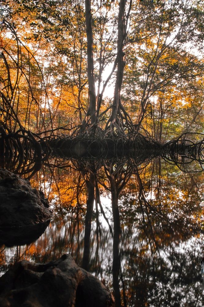 Autumn reflection