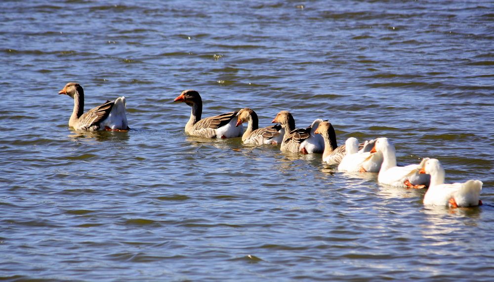 Photograph by Ольга Павлова