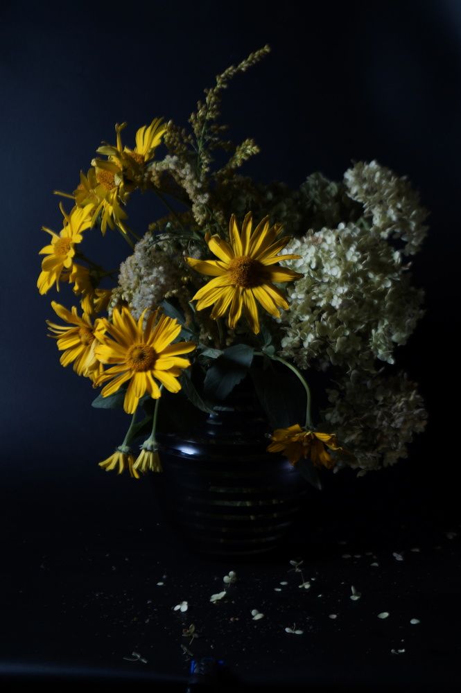 Photograph by Наталья