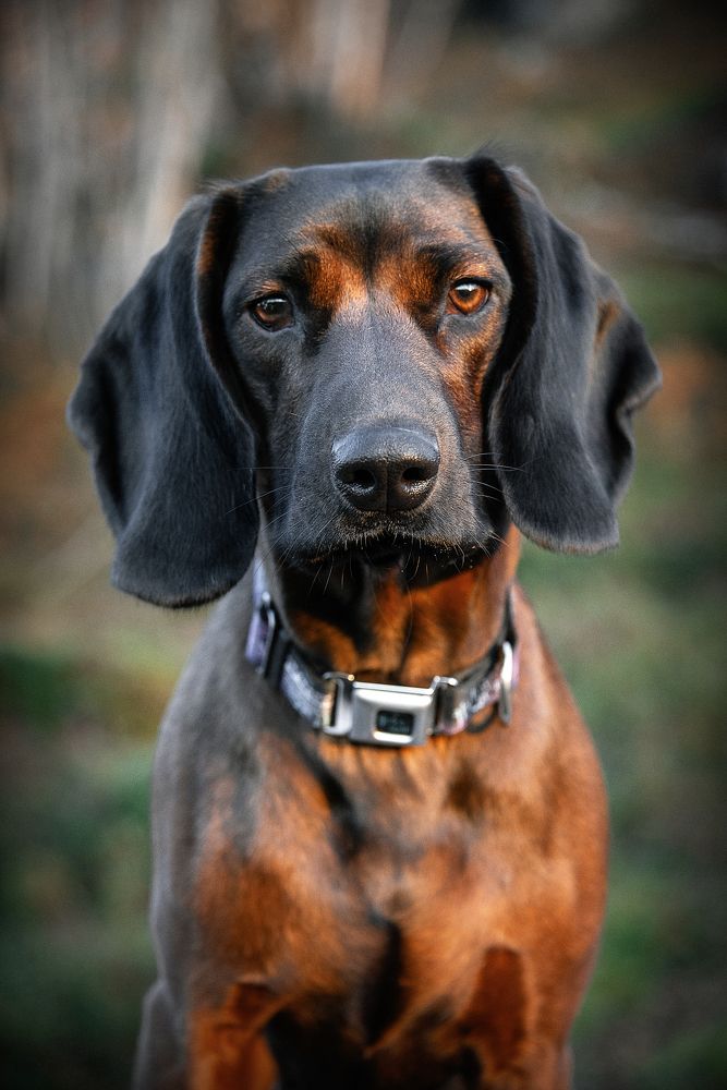 Photograph by Оксана Кузнецова