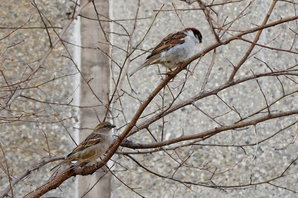 Photograph by Анна Устинова