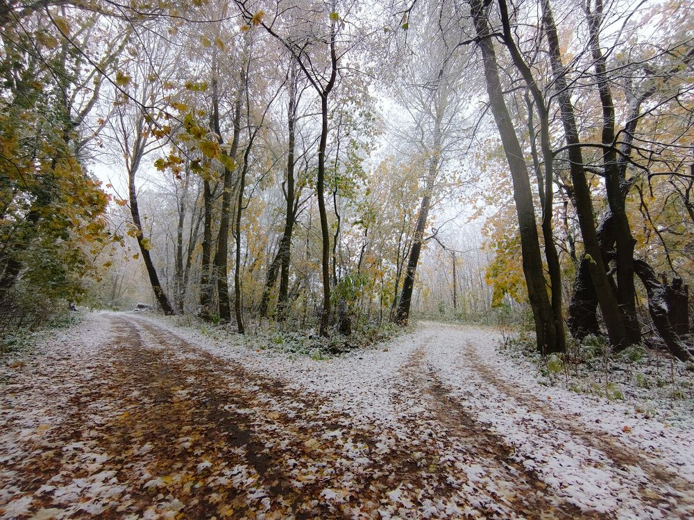 Photograph by Кондрашова Светлана