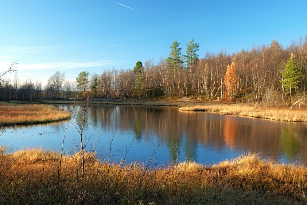 Photograph by Борис Чернов