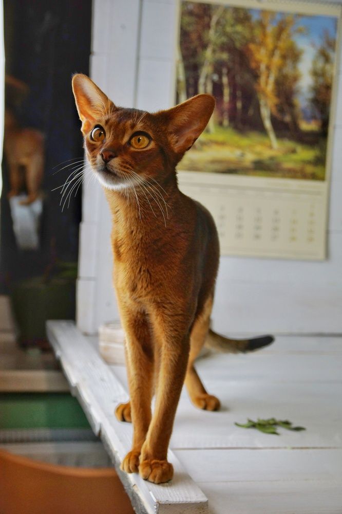 Photograph by Ирина Гурина